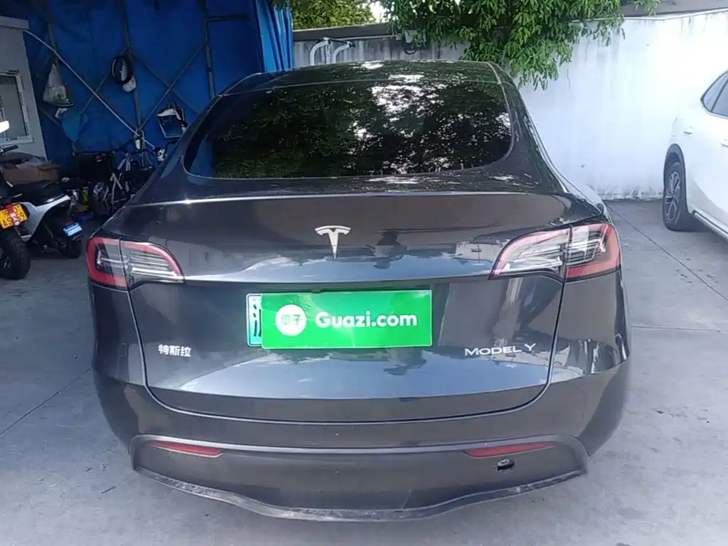 Tesla Model Y — миниатюра 6