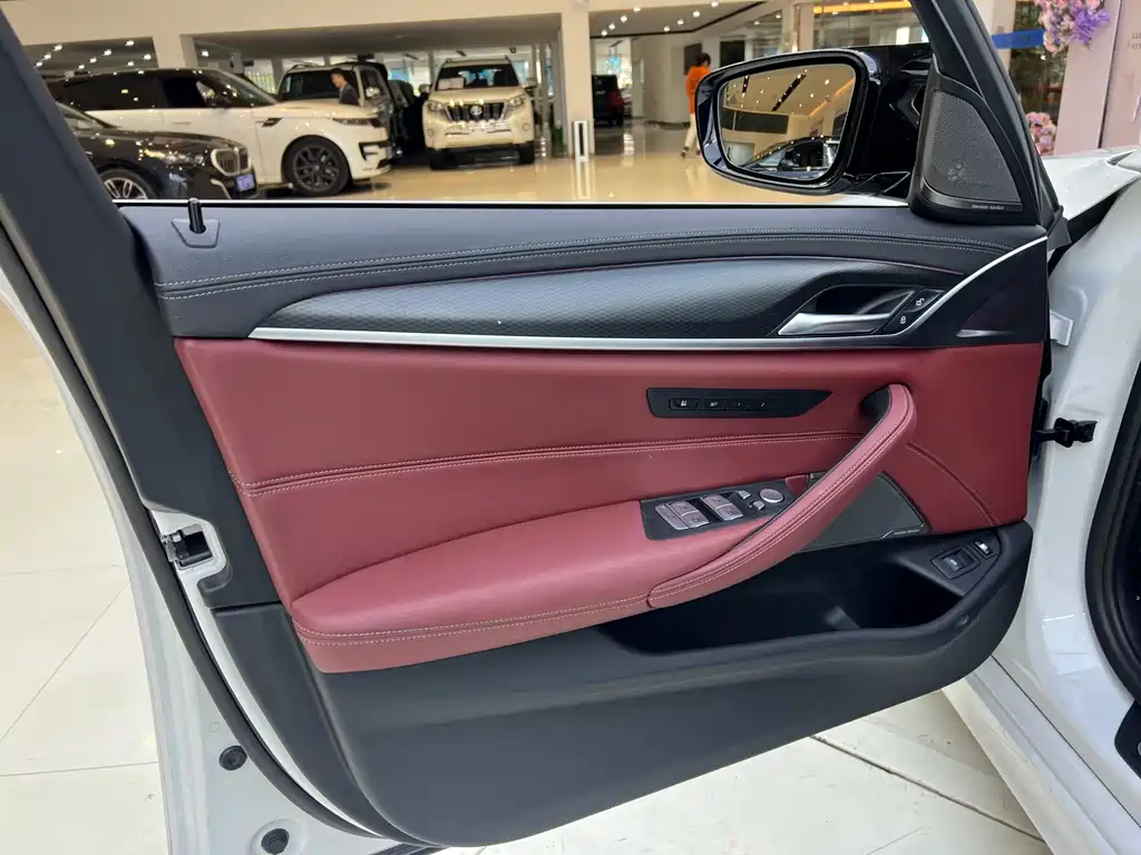 BMW 5 SERIES NEW ENERGY