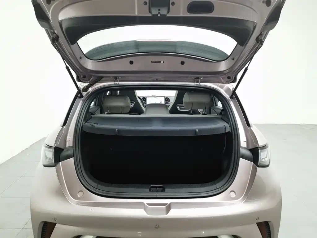 BYD Dolphin — миниатюра 16