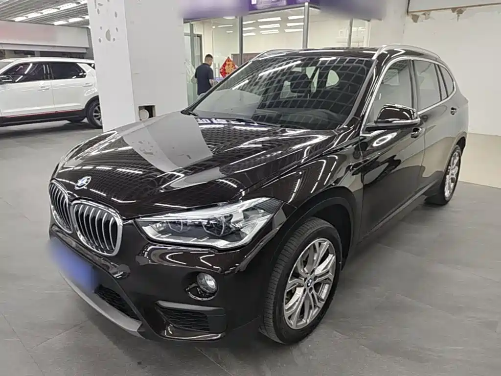 BMW X1 — миниатюра 2