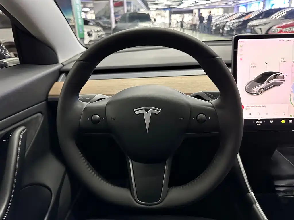 TESLA MODEL 3