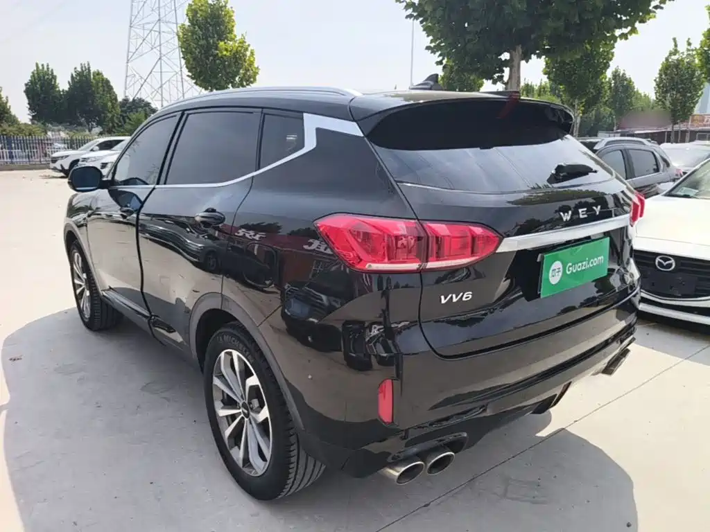 Wey Wey VV6 — миниатюра 5