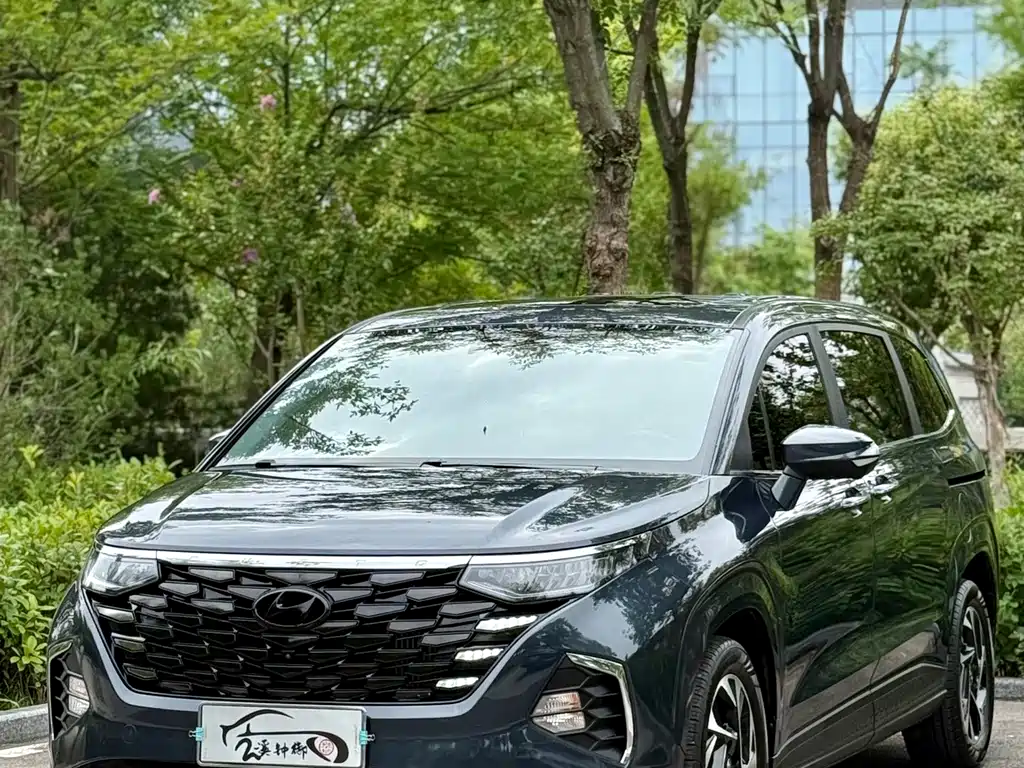 Hyundai Custo — миниатюра 8