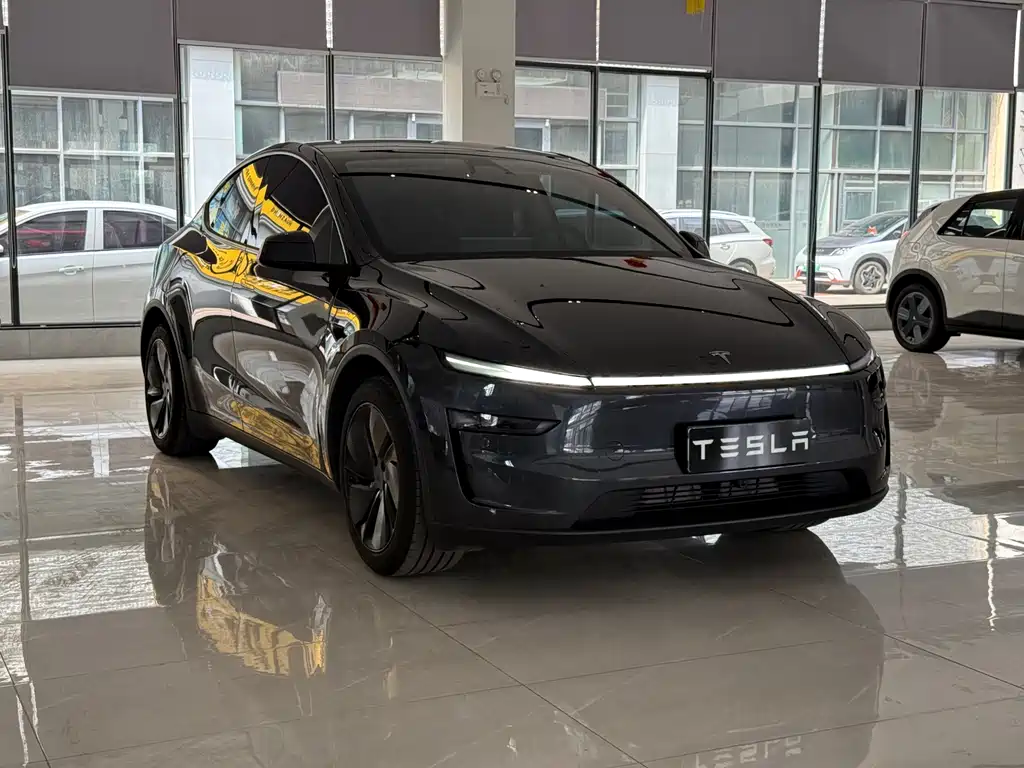 Tesla Model Y — миниатюра 3