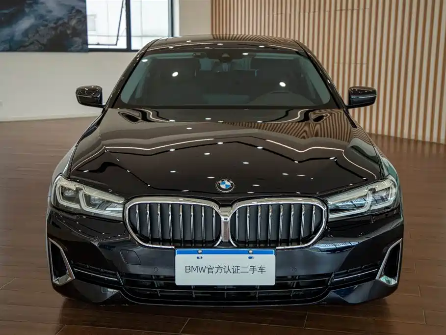 BMW 5 Series — миниатюра 3