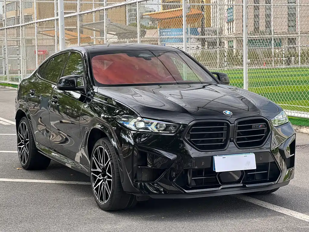 BMW X6 M — миниатюра 3