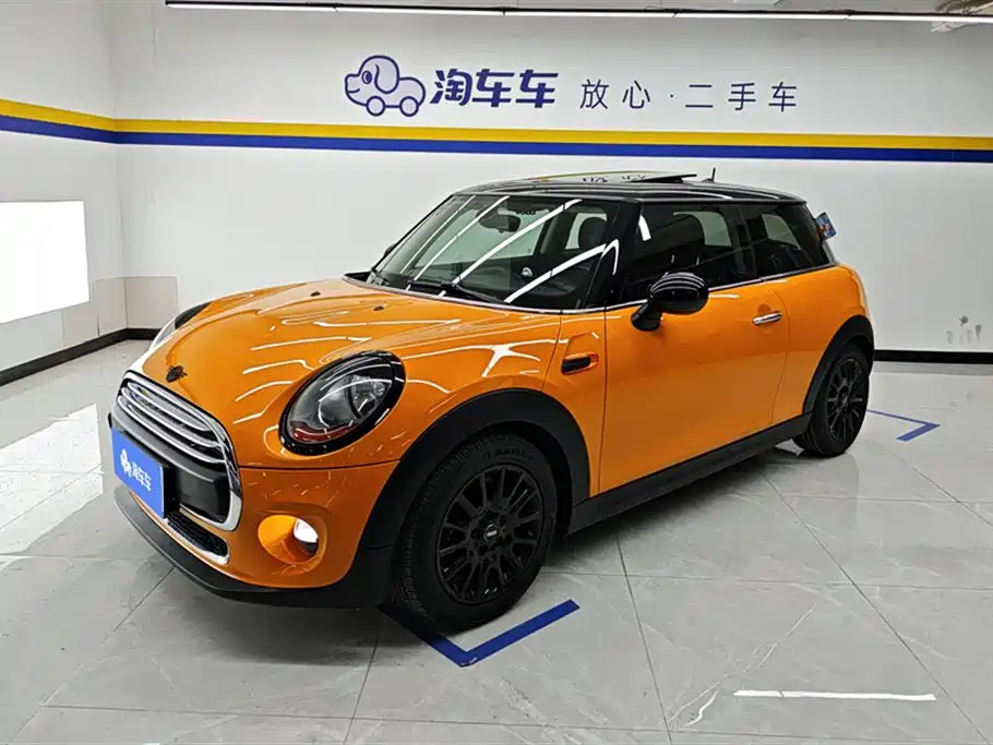 Mini Mini 2017