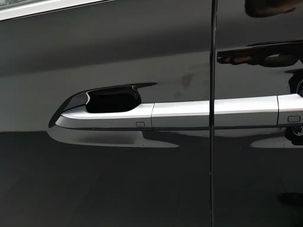 Denza Denza D9 — миниатюра 18