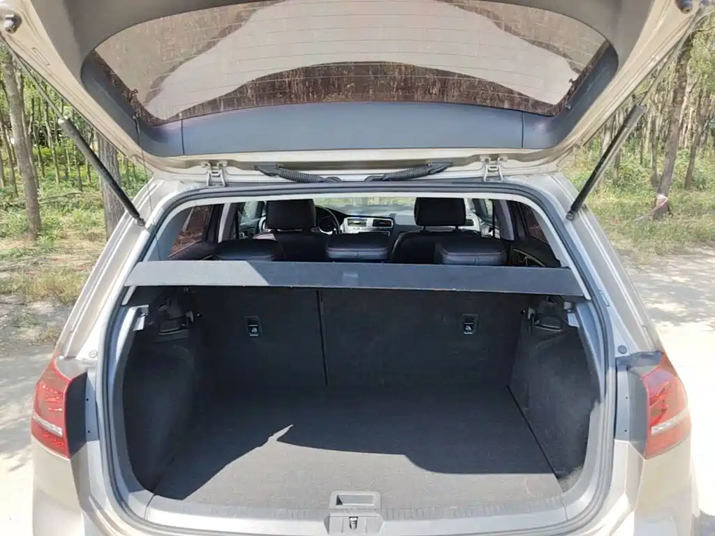 Volkswagen Golf — миниатюра 19