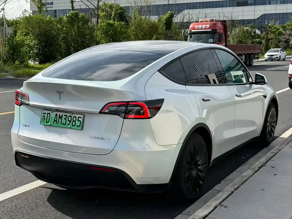 Tesla Model Y — миниатюра 7