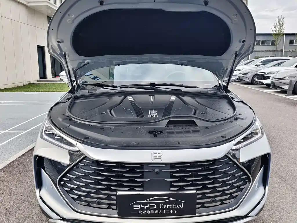 BYD Tang New Energy — миниатюра 2