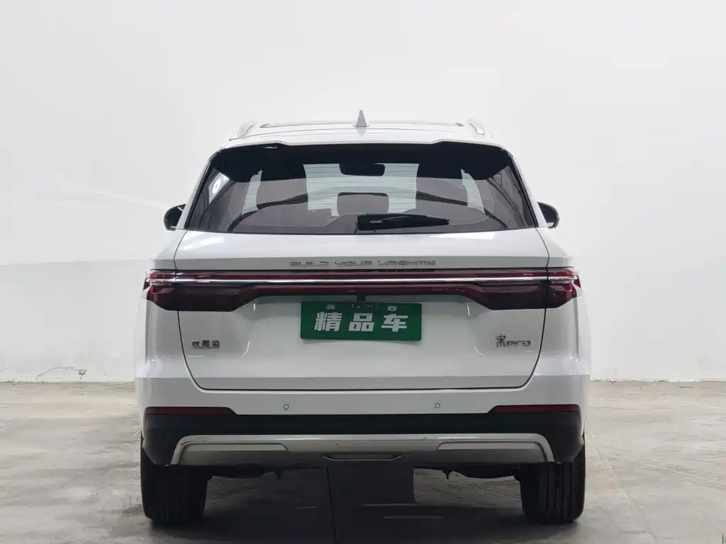 BYD Pro — миниатюра 5
