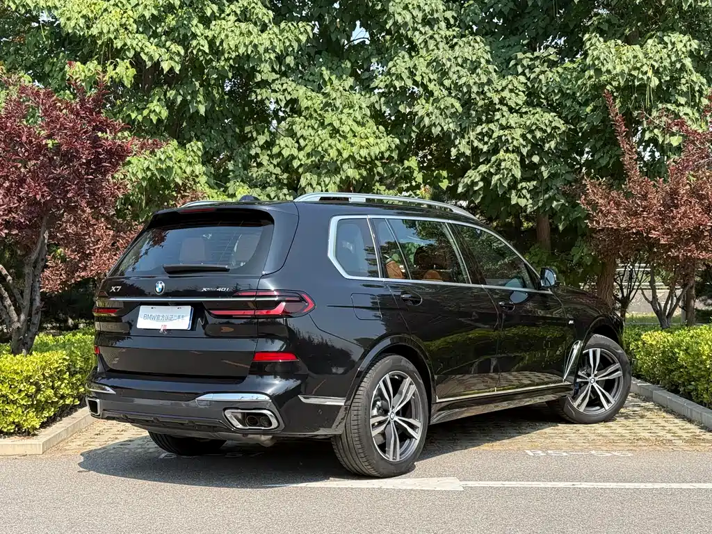 BMW X7 — миниатюра 4