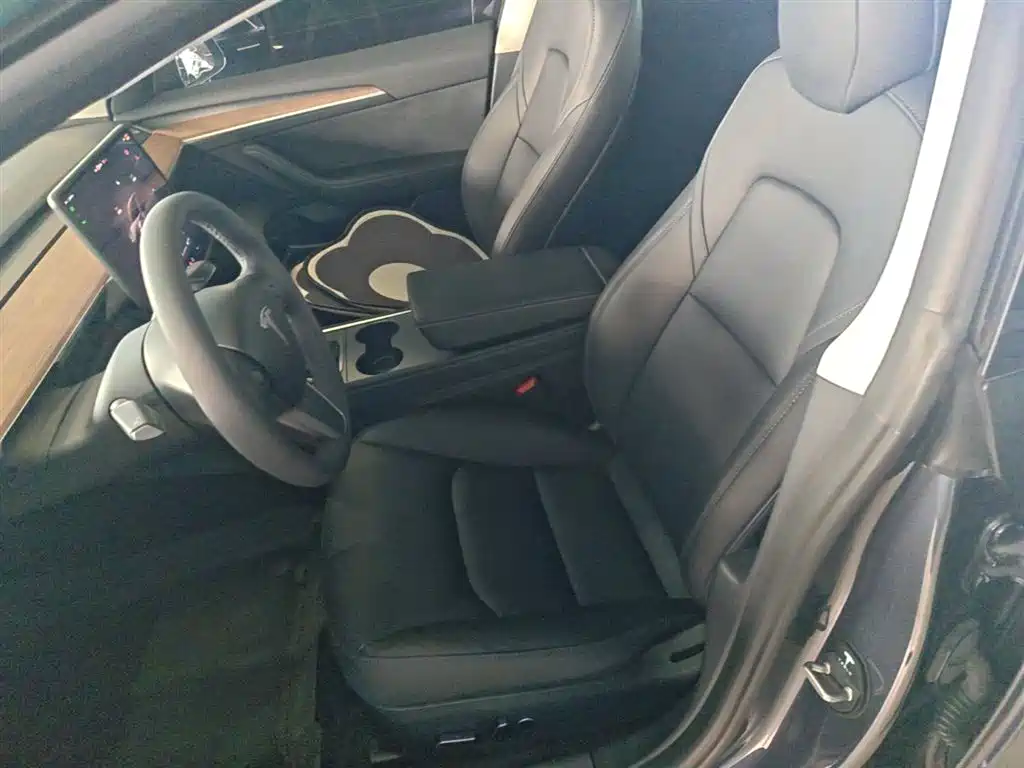 Tesla Model 3 — фотографии объявления, Фото 15