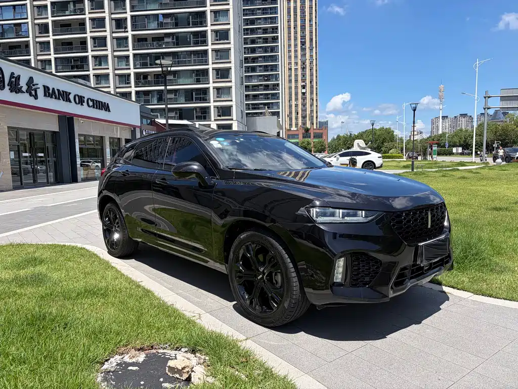 Wey Wey VV7 — миниатюра 3