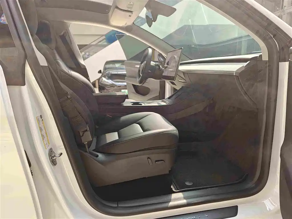 Tesla Model Y — миниатюра 14