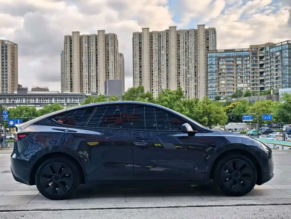 Tesla Model Y — миниатюра 8