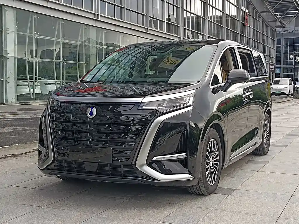 Denza Denza D9