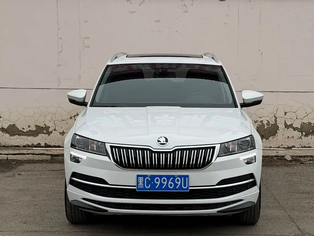 Skoda Karoq TSI280 Premium Edition, фото 2