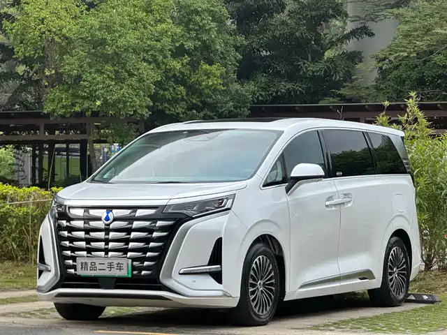 2023 Denza D9