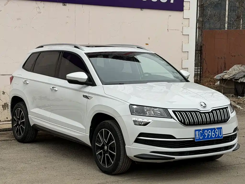 Skoda Karoq TSI280 Premium Edition, фото 3
