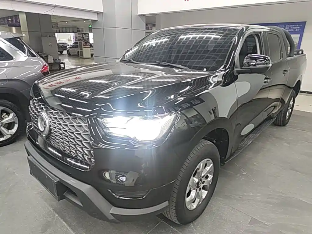 Great Wall Pao — миниатюра 2