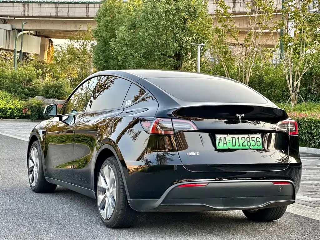 Tesla Model Y — миниатюра 4