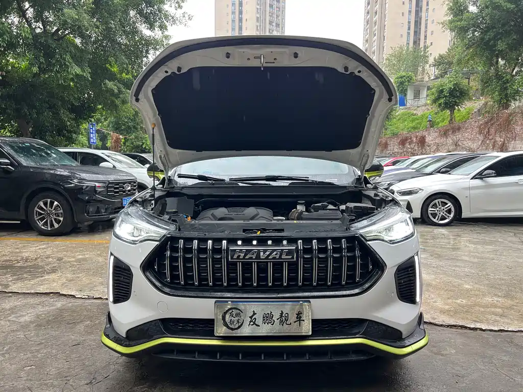 Haval Chitu — миниатюра 4