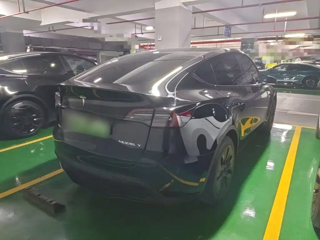 Tesla Model Y — миниатюра 7