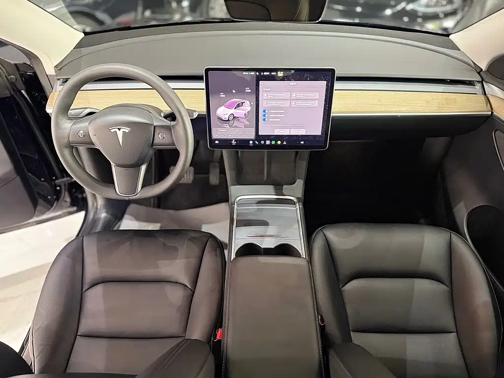 Tesla Model Y — миниатюра 9