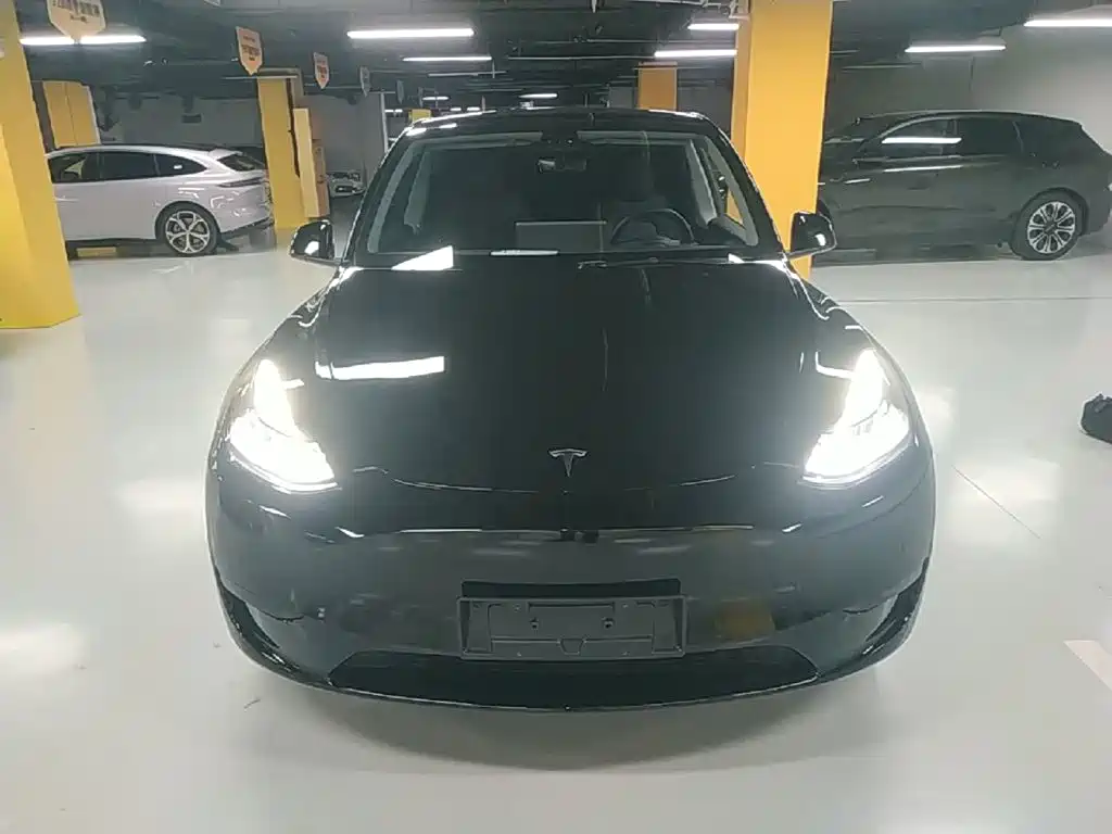 Tesla Model Y — миниатюра 3