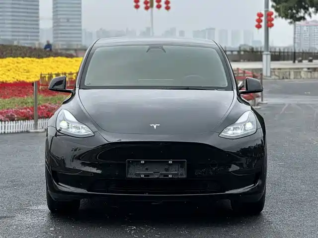 tesla model-y