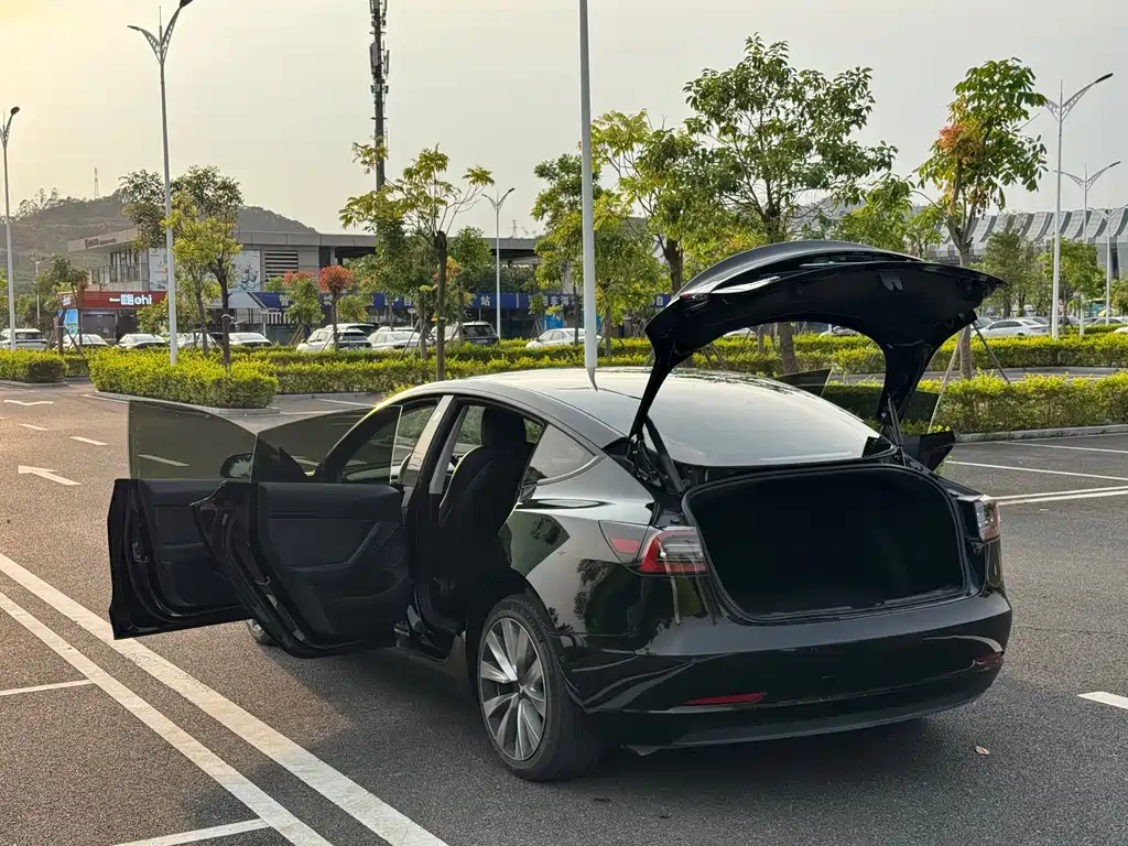 Tesla Model 3 — миниатюра 33