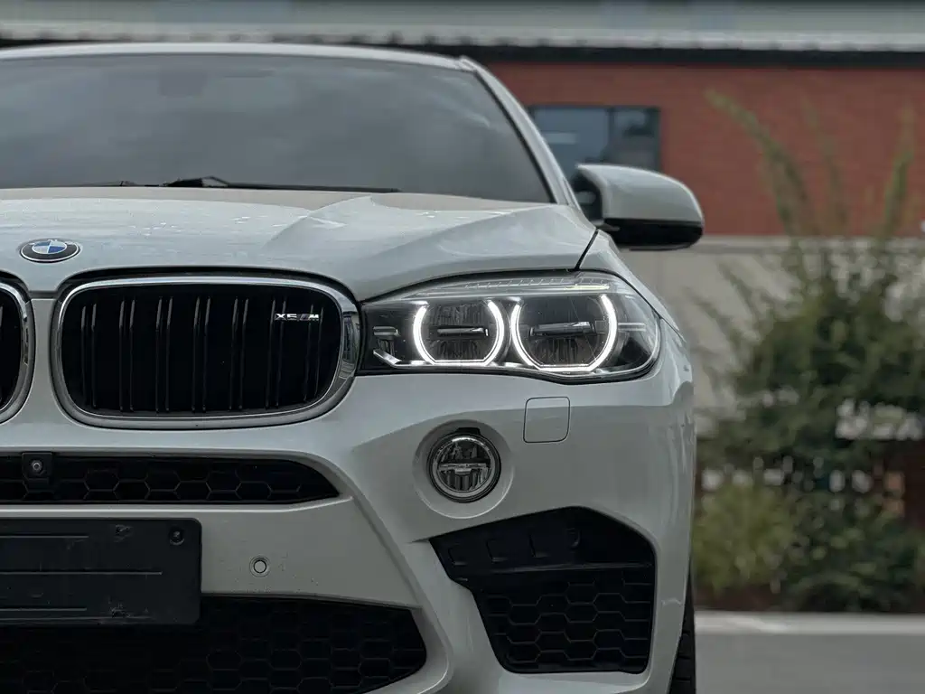 BMW X6 M X6 M, фото 5