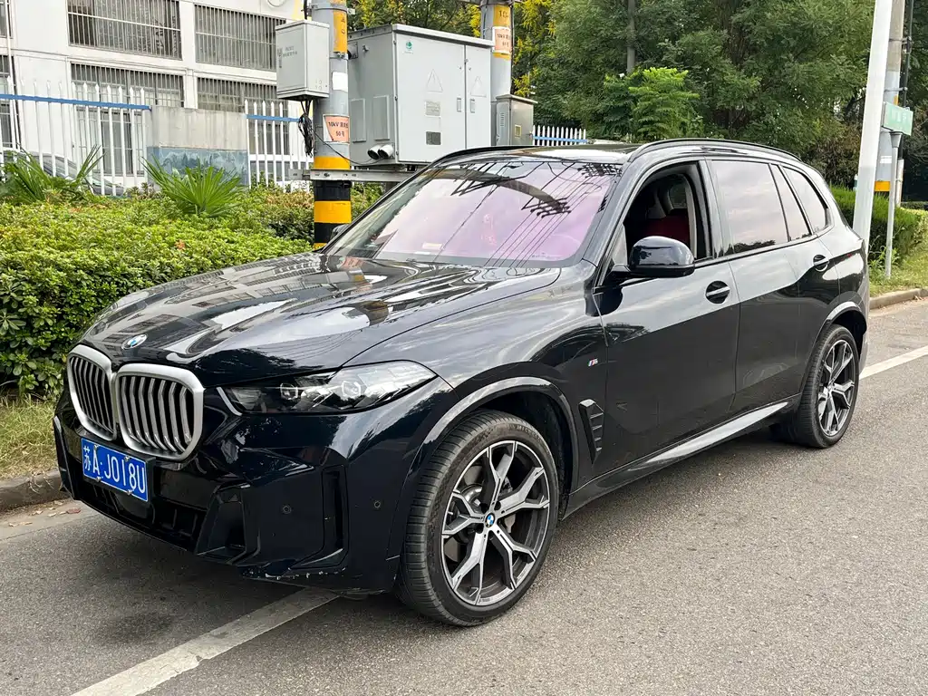 BMW X5 — миниатюра 2