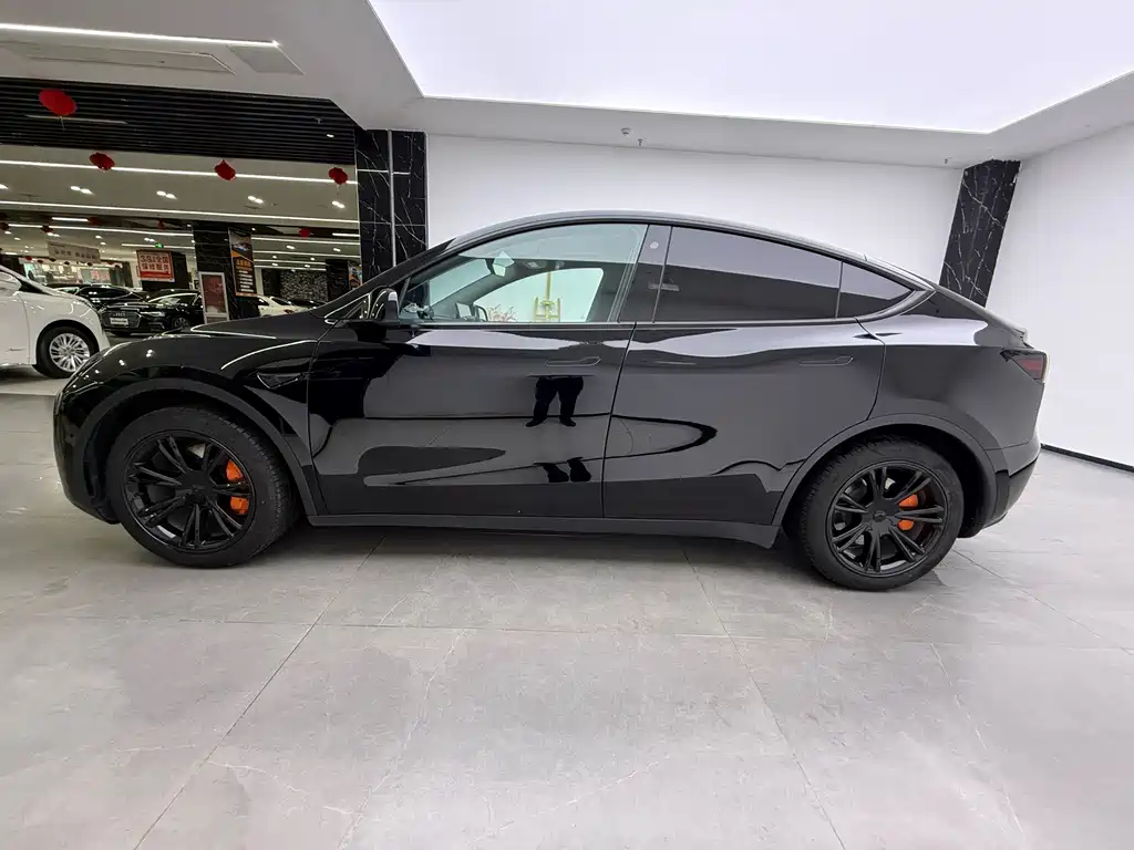 Tesla Model Y — миниатюра 4