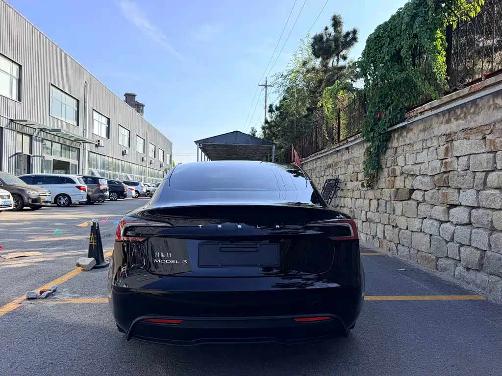 Tesla Model 3 — миниатюра 7