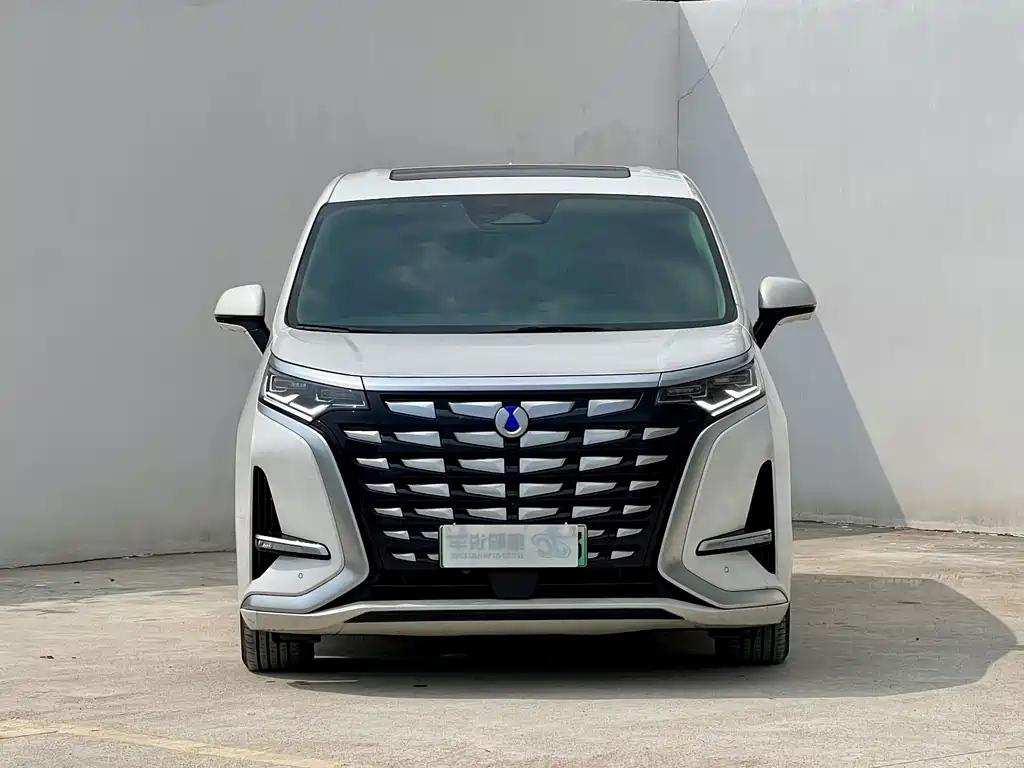 Denza Denza D9 — миниатюра 2