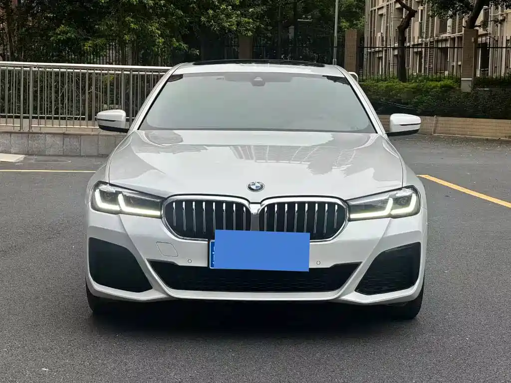 BMW 5 Series — миниатюра 2