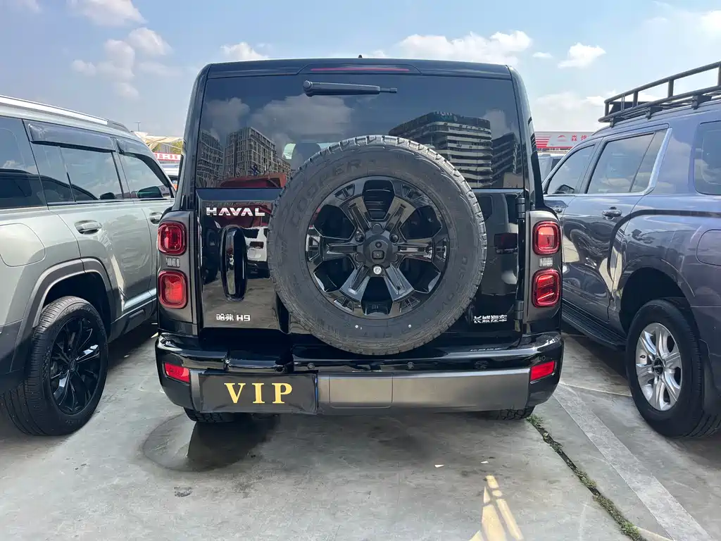 HAVAL H9