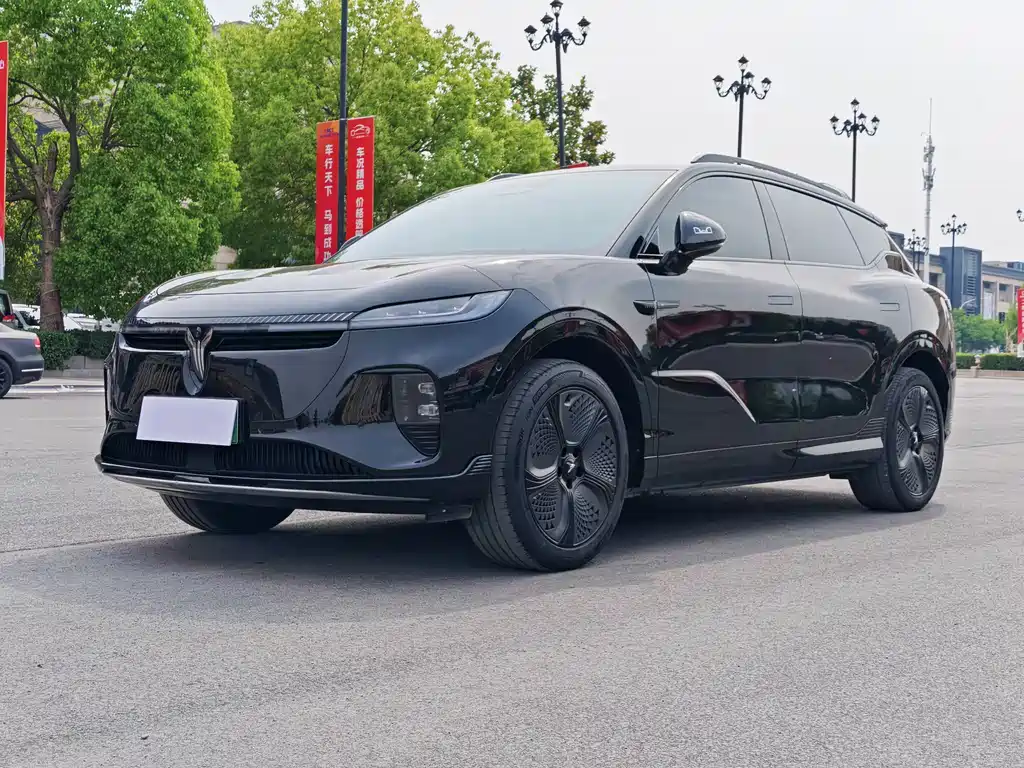 Voyah Zhiyin 2025