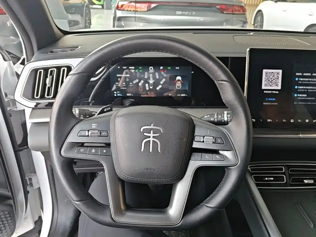 BYD Pro New Energy — миниатюра 11