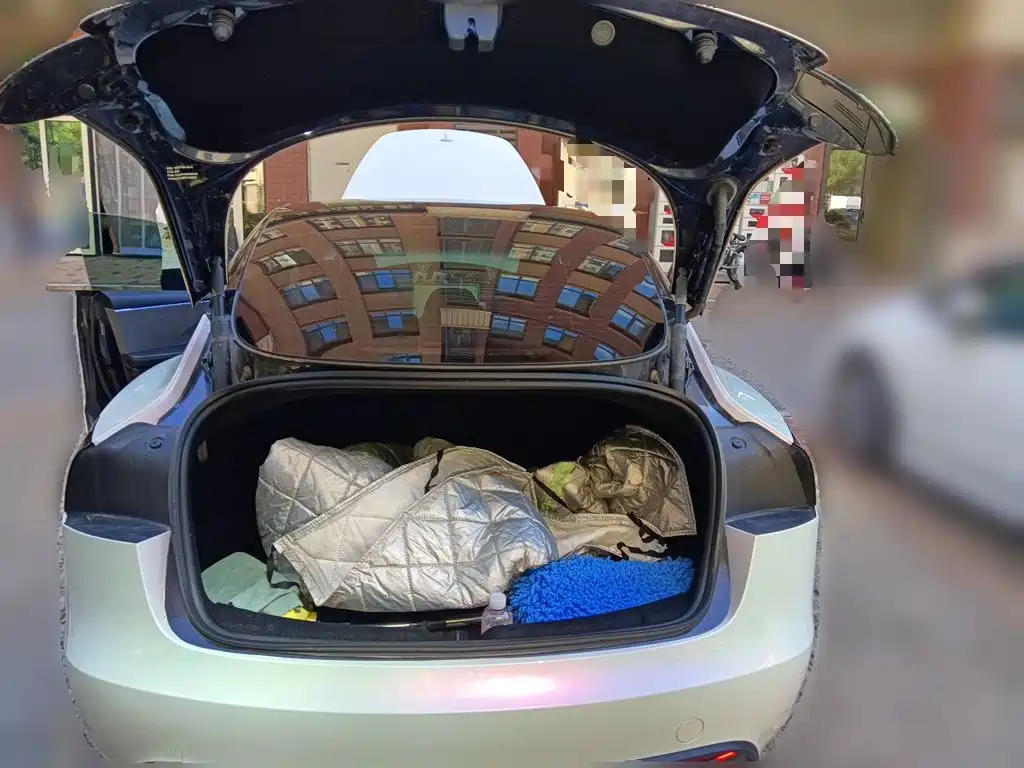 Tesla Model 3 — миниатюра 20