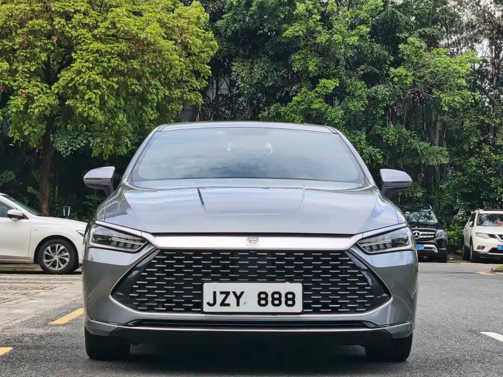 BYD Qin Plus PLUS 2021 DM-i 55KM Flagship