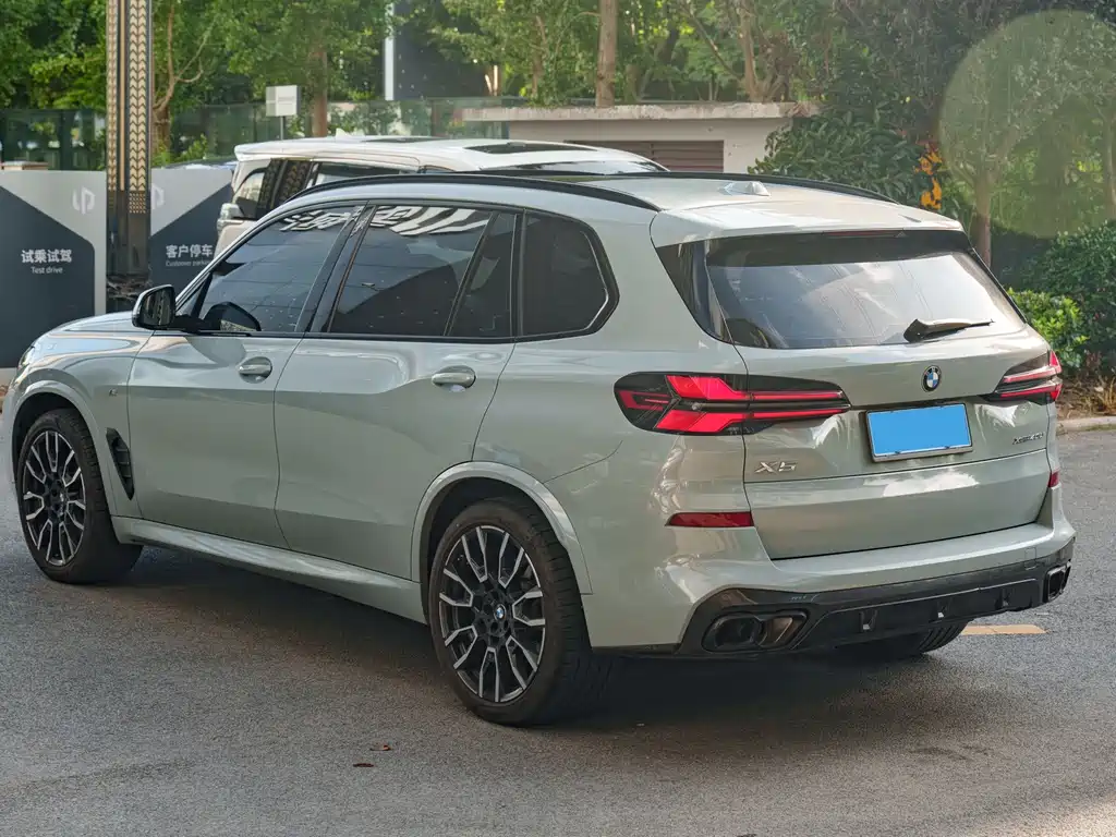 BMW X5 — миниатюра 7