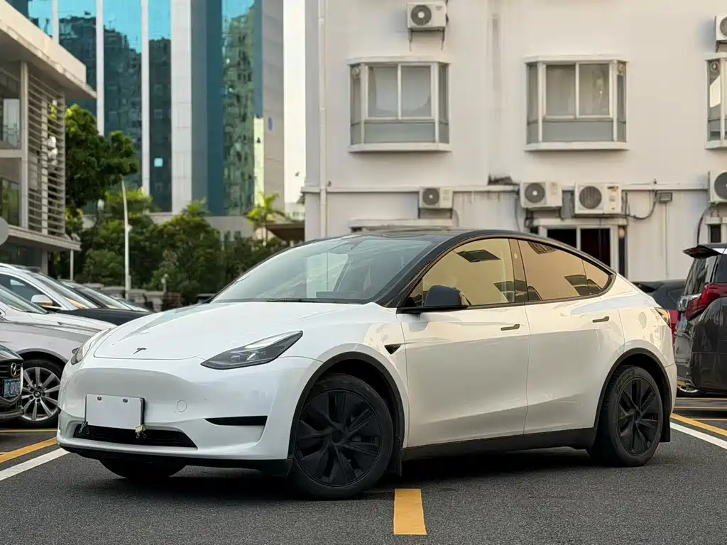 Tesla Model Y — миниатюра 10