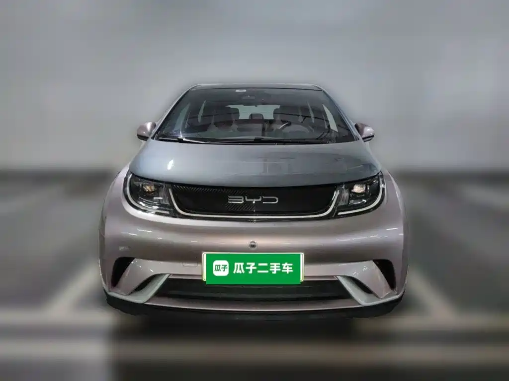 BYD Dolphin — миниатюра 2