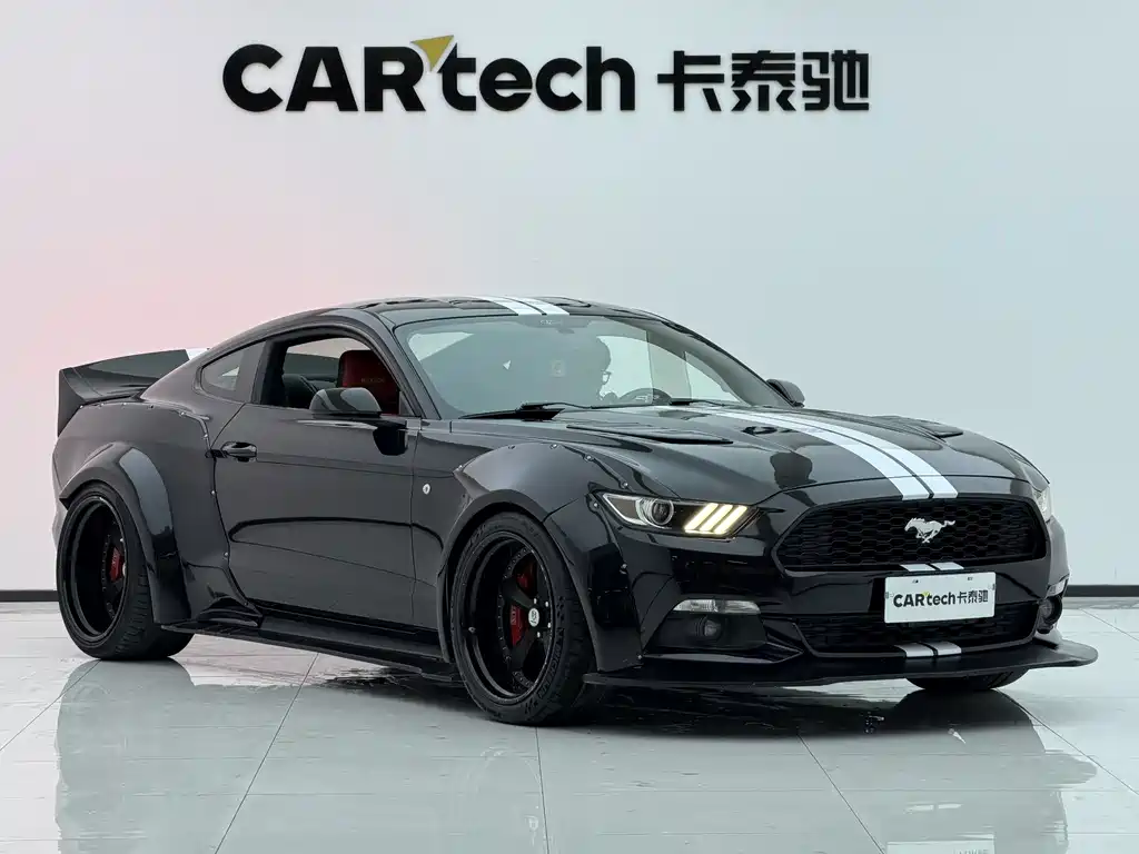 Ford Mustang — миниатюра 11