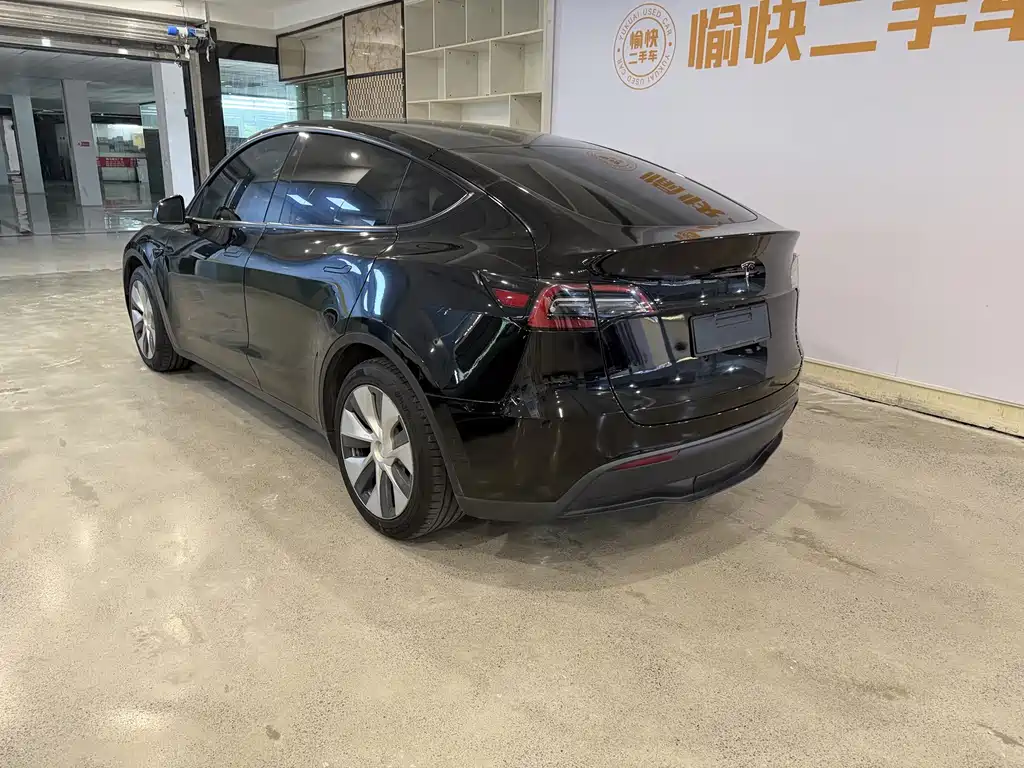 Tesla Model Y — миниатюра 7