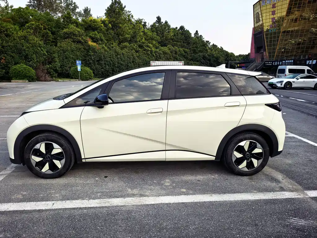 BYD Dolphin — миниатюра 4